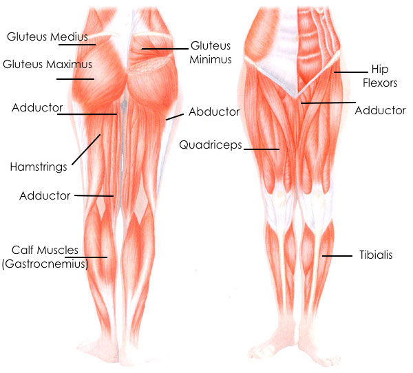 Exercises For Legs And Butt 58