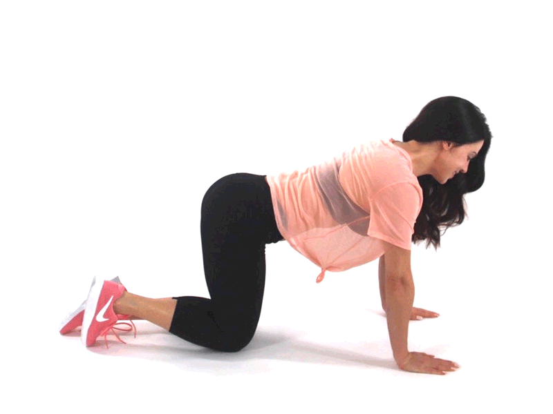 Donkey Kick Butt and Thigh Exercise done by Christina Carlyle