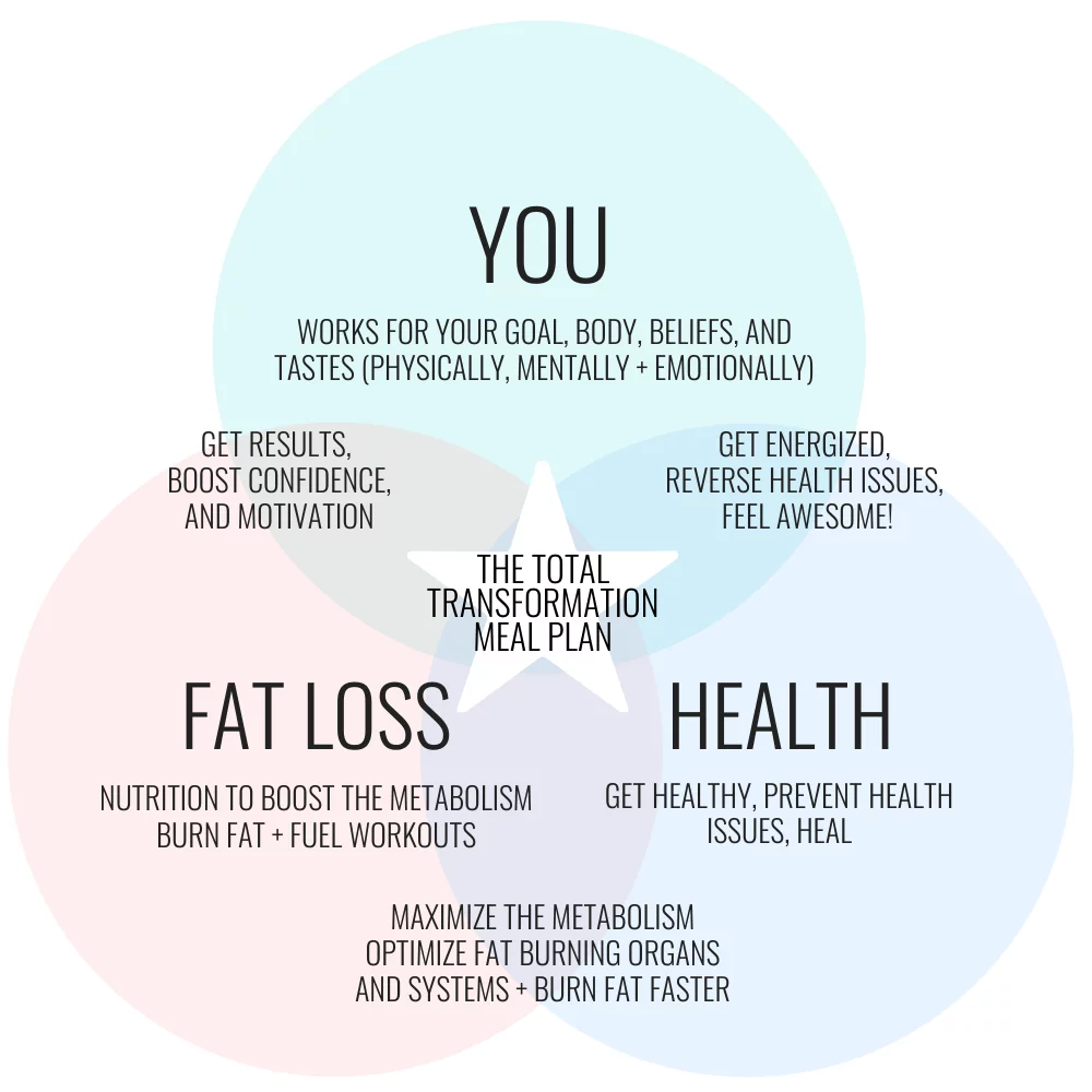 TT meal plan program venn d
